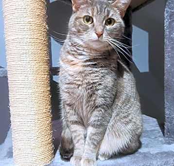 Photo of Valerie