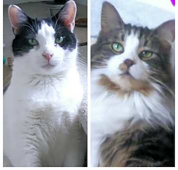 Photo of Bubba & Bistro