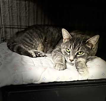 Photo of Emmi
