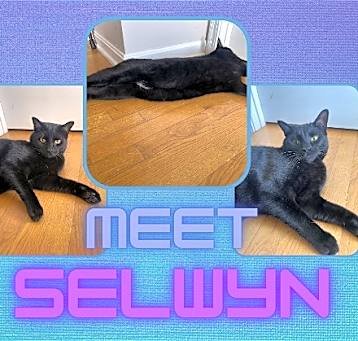 Photo of Selwyn