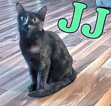 Photo of JJ