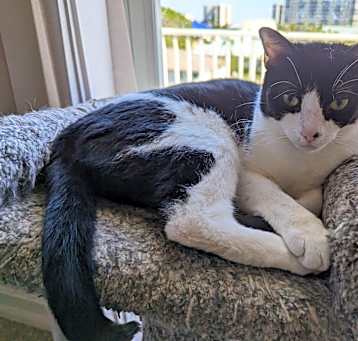 Photo of Fran