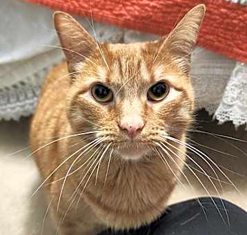 Photo of Cash