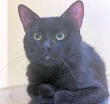 Photo of Sebastian