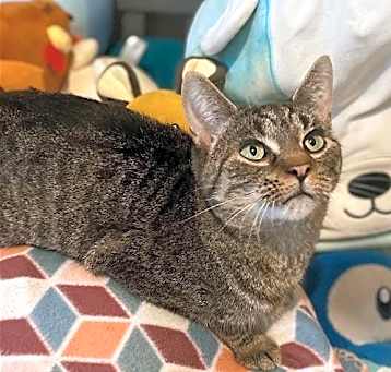 Photo of Winnie