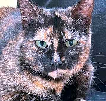 Photo of Miss Vickie