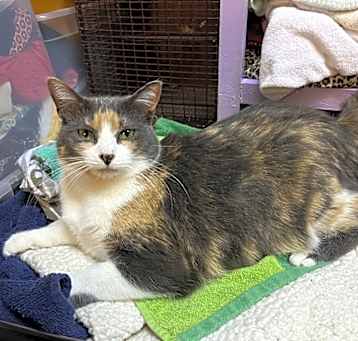 Photo of Fiona