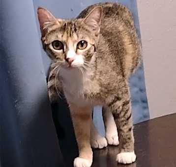 Photo of Cleo
