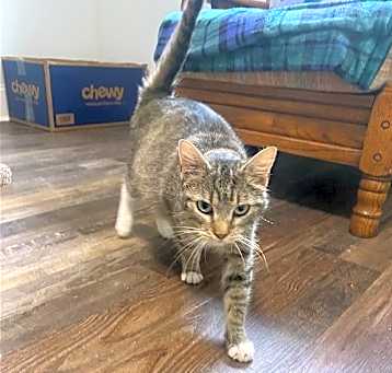 Photo of Bootsie