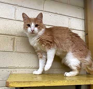 Photo of Gunther