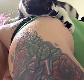 Photo of Magpie