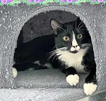 Photo of Maia