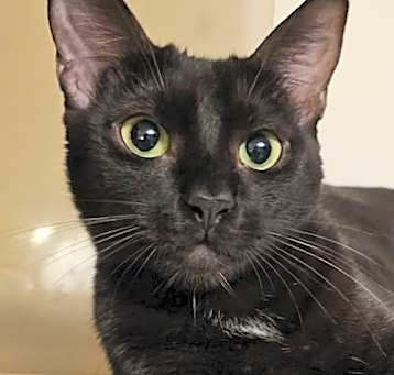 Photo of Madeline