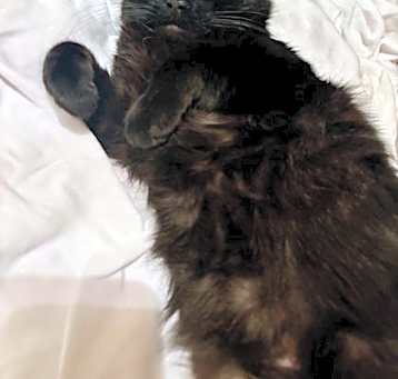 Photo of Jammy