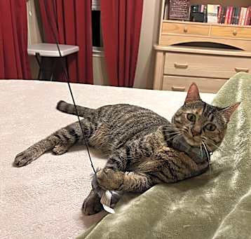 Photo of Margo