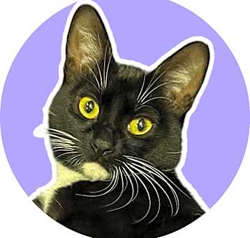 Photo of Esperanza