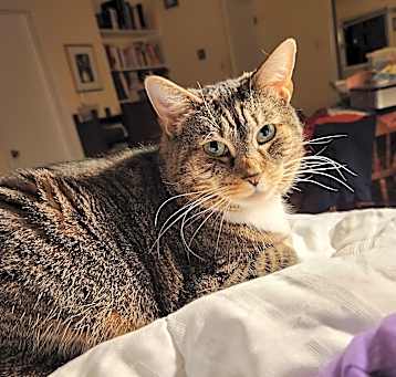 Photo of Raja