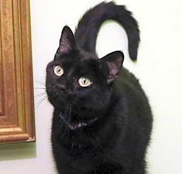 Photo of Harriett
