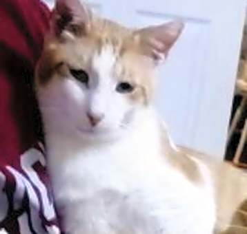 Photo of Marty (male)