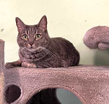 Photo of Princess