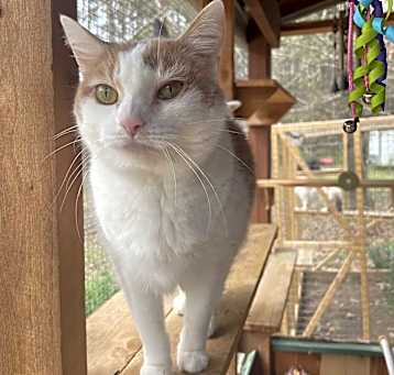 Photo of Camille