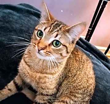 Photo of Maggie