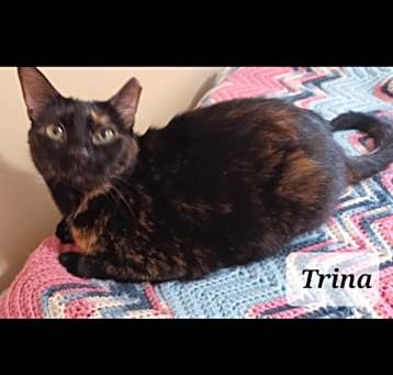 Photo of Trina - shy & loving