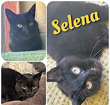 Photo of Selena