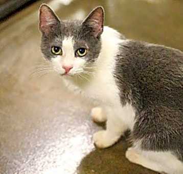 Photo of Dutchess
