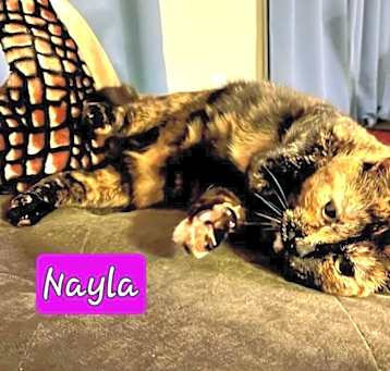 Photo of Nyla