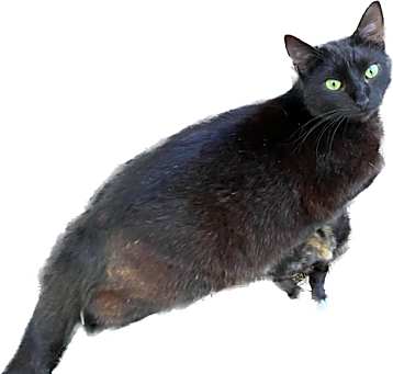 Photo of Sabrina