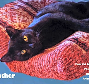 Photo of Panther
