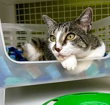Photo of Luna Lu