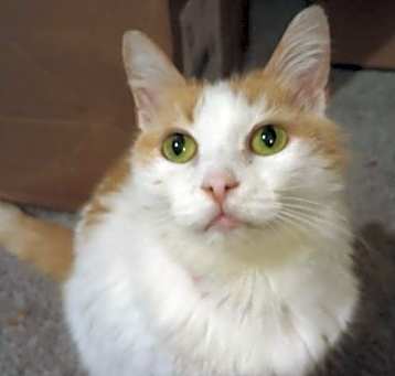 Photo of Polly