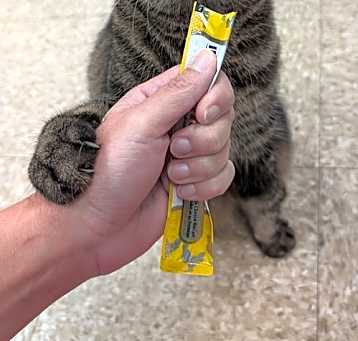 Photo of Beebz