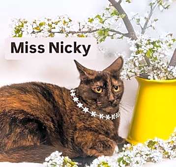 Photo of Miss Nicky at Martinez Pet Food Express  May 24th