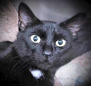 Photo of Parker