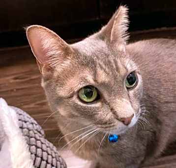 Photo of Zoe