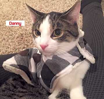Photo of Danny Wood