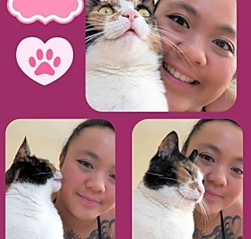 Photo of Diva