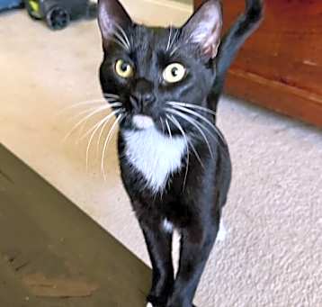 Photo of Watson