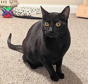 Photo of Magik