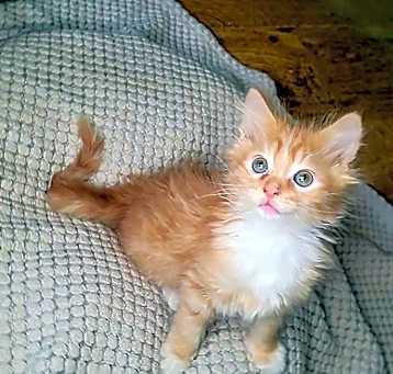 Photo of Jack
