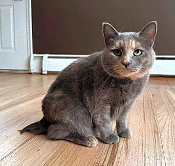 Photo of Phoebe Buffay