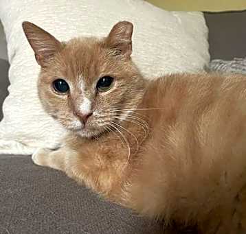 Photo of Dune