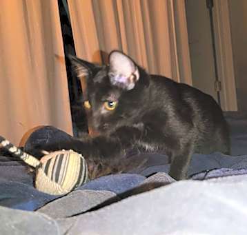 Photo of Jack