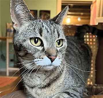 Photo of Ruthie (I Litter)