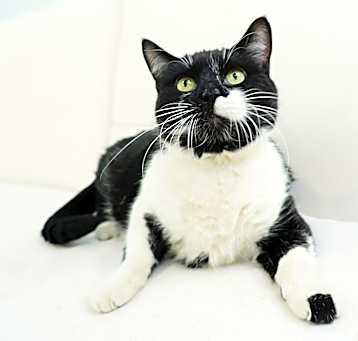 Photo of Tookins