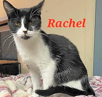 Photo of Rachel