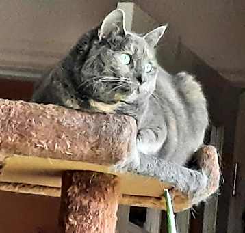 Photo of Sophie